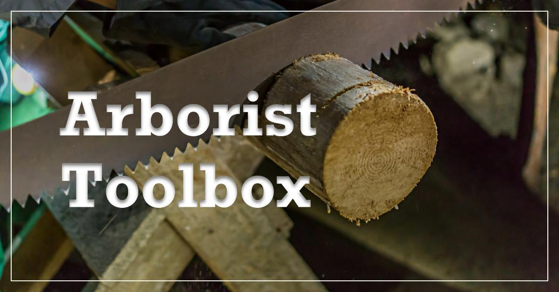 Essential Tools Every Arborist Needs
