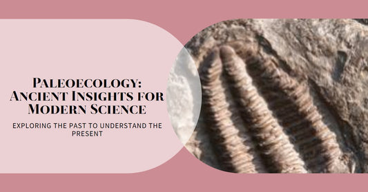 Paleoecology: How Ancient Ecosystems Inform Modern Science
