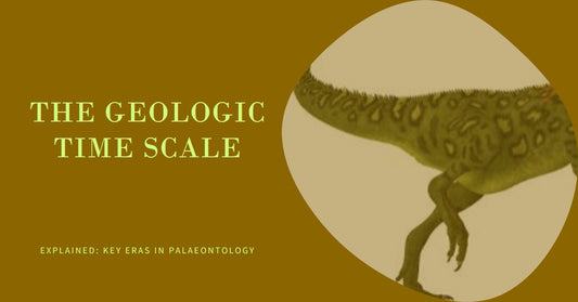 The Geologic Time Scale Explained