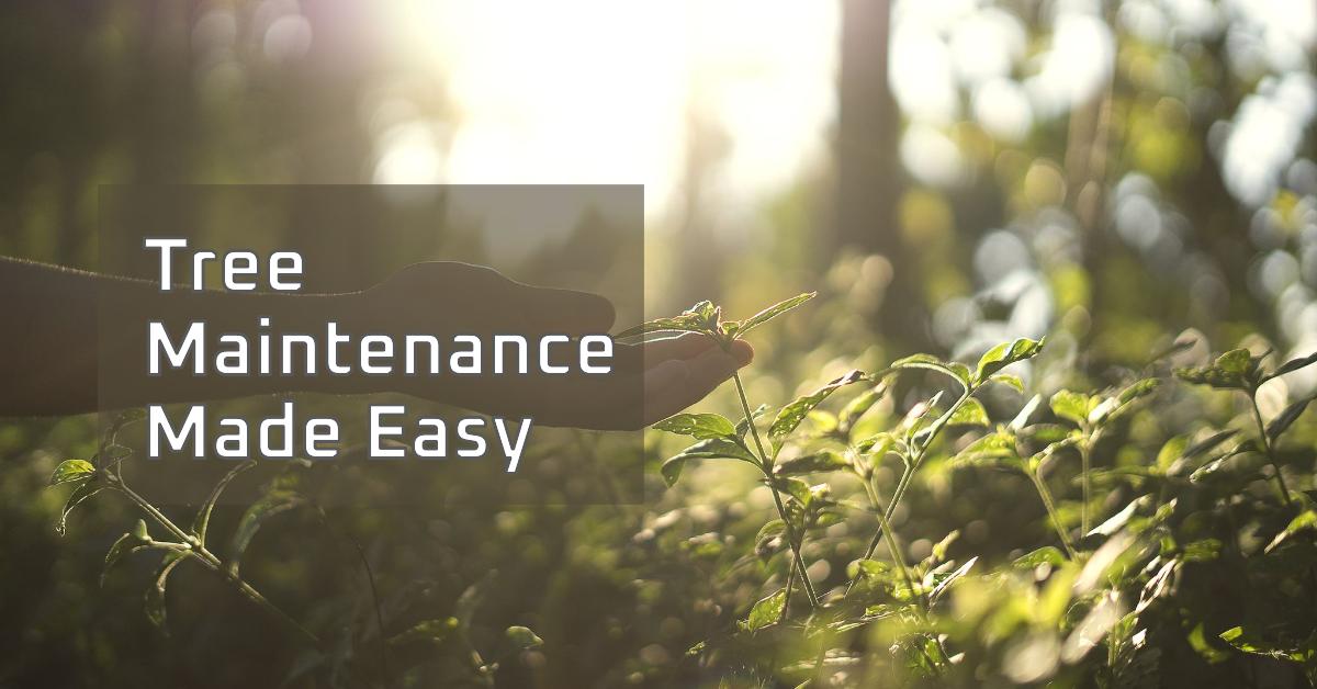 Tree Maintenance Made Easy: Tips for Vibrant, Strong Trees – Teeoutdoor