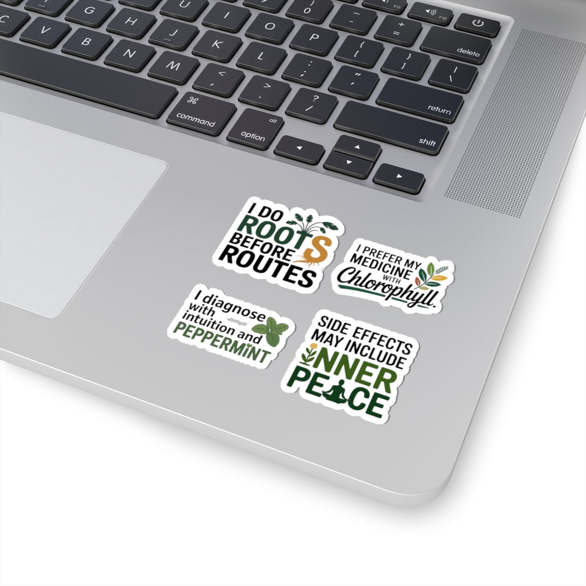 Naturopath Sticker Pack – 4 PCS Funny Chlorophyll Inner Peace Decals for Naturopaths Holistic Health Fans