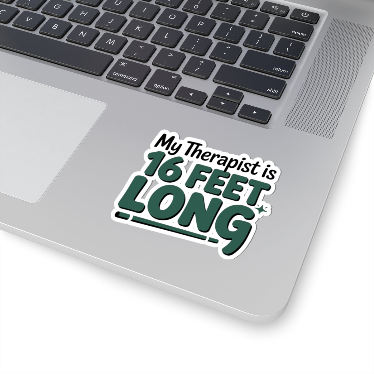 Pole Vault Sticker – Witty Humor Therapy Quote Decal for Track and Field Athletes, Vaulters & Sport Enthusiasts
