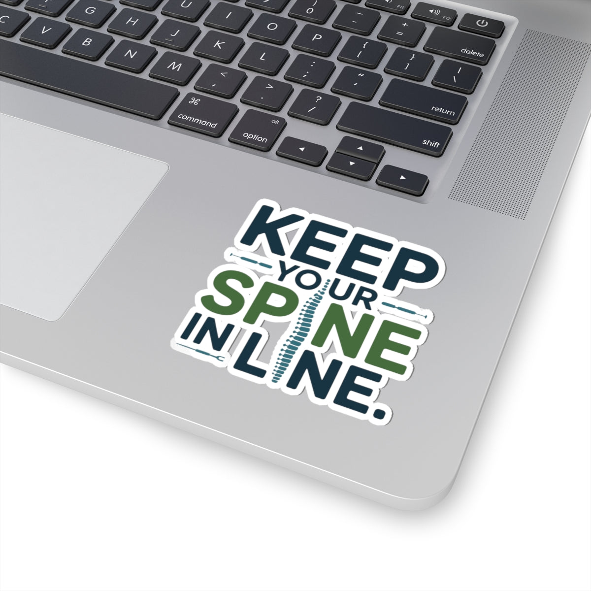 Spine Alignment Reminder Sticker - Chiropractic Wellness Vinyl Decal for Spine Care, Back Health, and Chiropractors