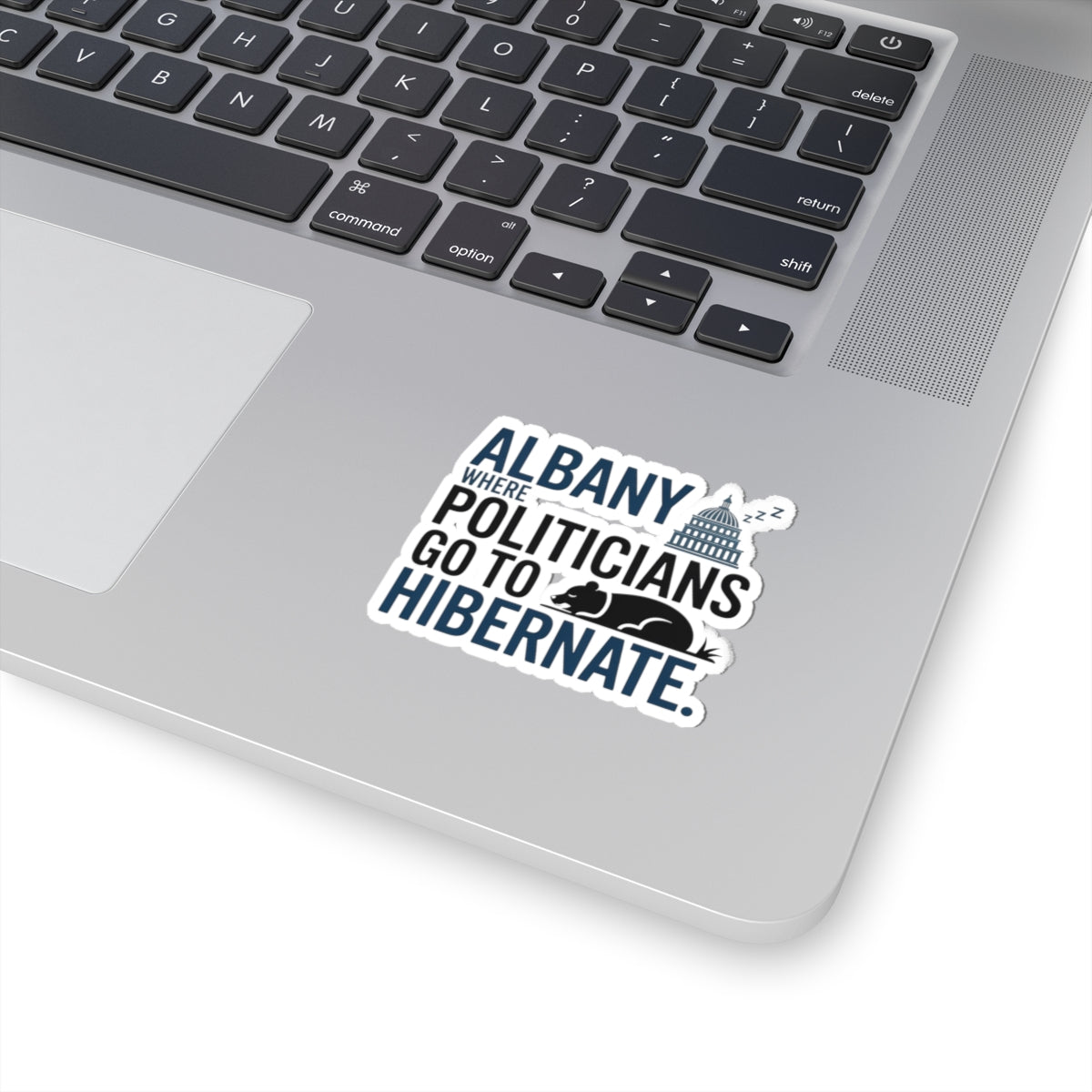 Albany Politics Sticker - Hibernating Politicians Vinyl Decal for NY State Satire