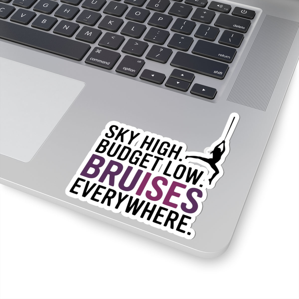 Aerial Silk Sticker – Funny Three-Line Bruises Quote Decal for Aerialists Circus Arts Performers and Silk Athletes