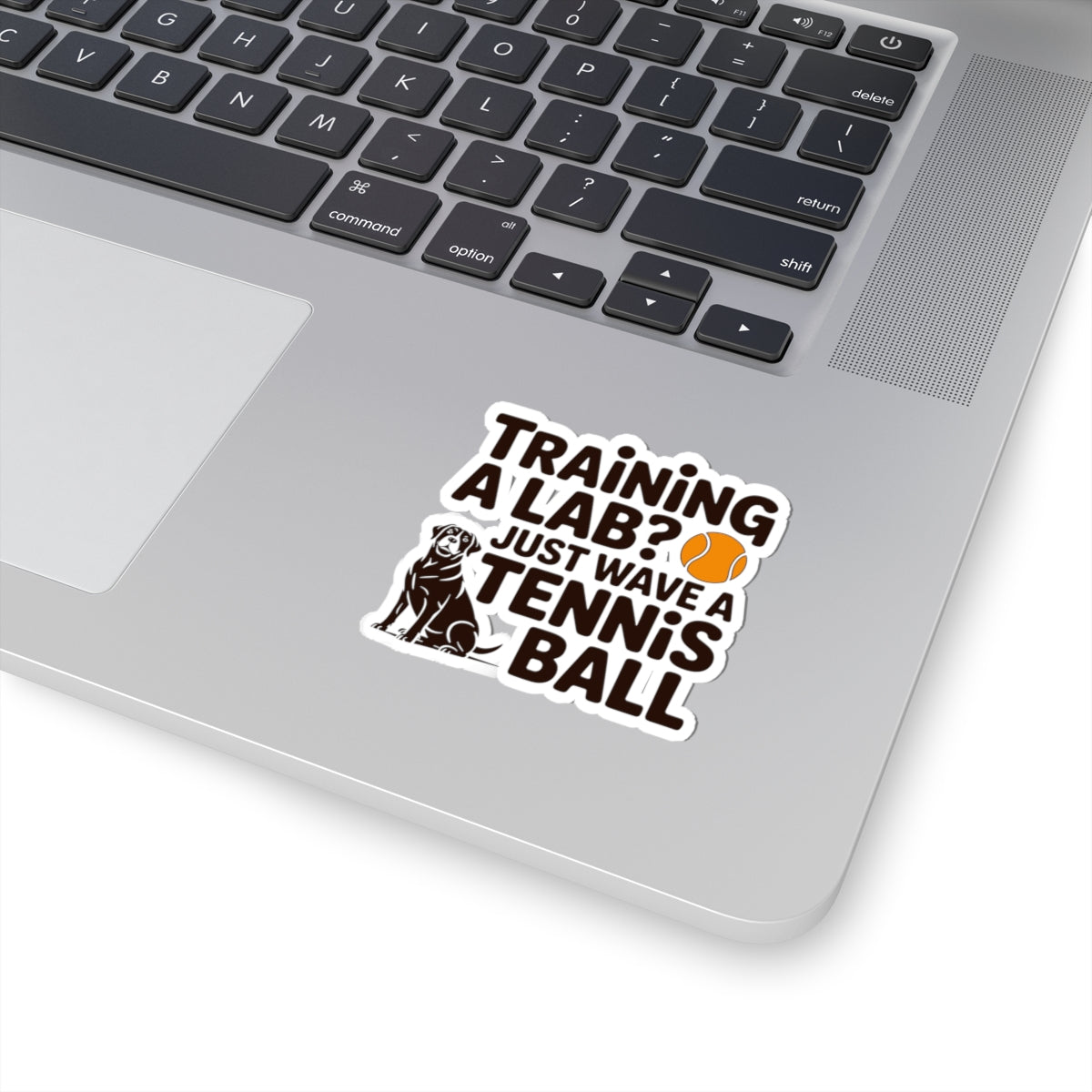 Funny Labrador Dog Sticker - Training A Lab Tennis Ball Vinyl Decal for Pet Owners Dog Lovers Trainers