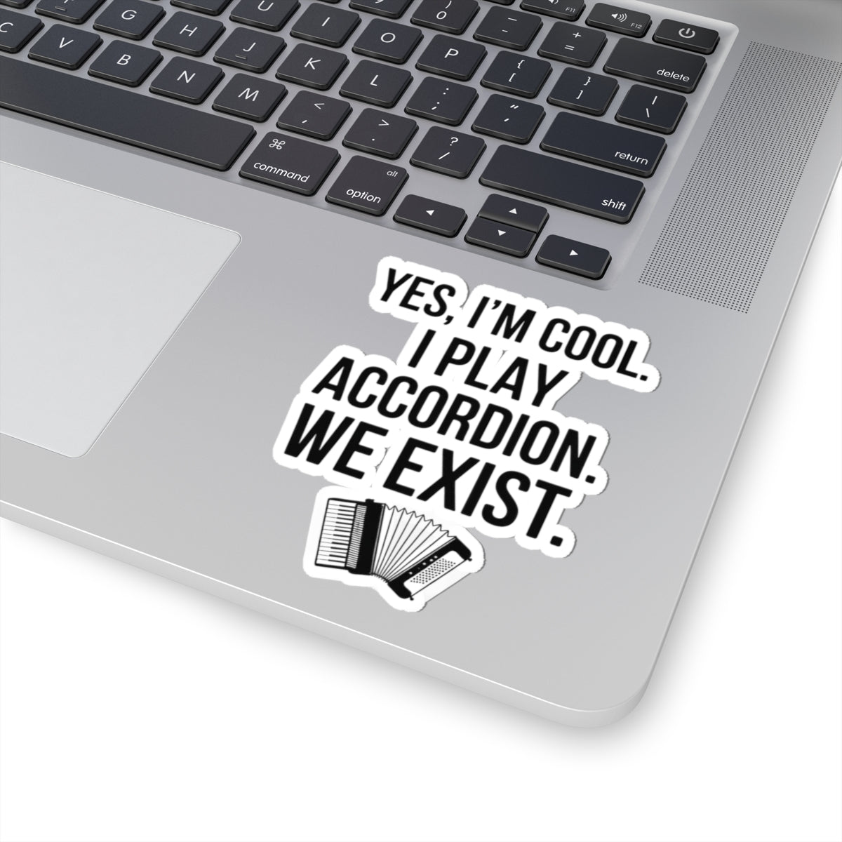 Accordion Player Sticker - Minimalist Deadpan Humor Quote Decal for Musicians, Polka Band Members, Folk Artists
