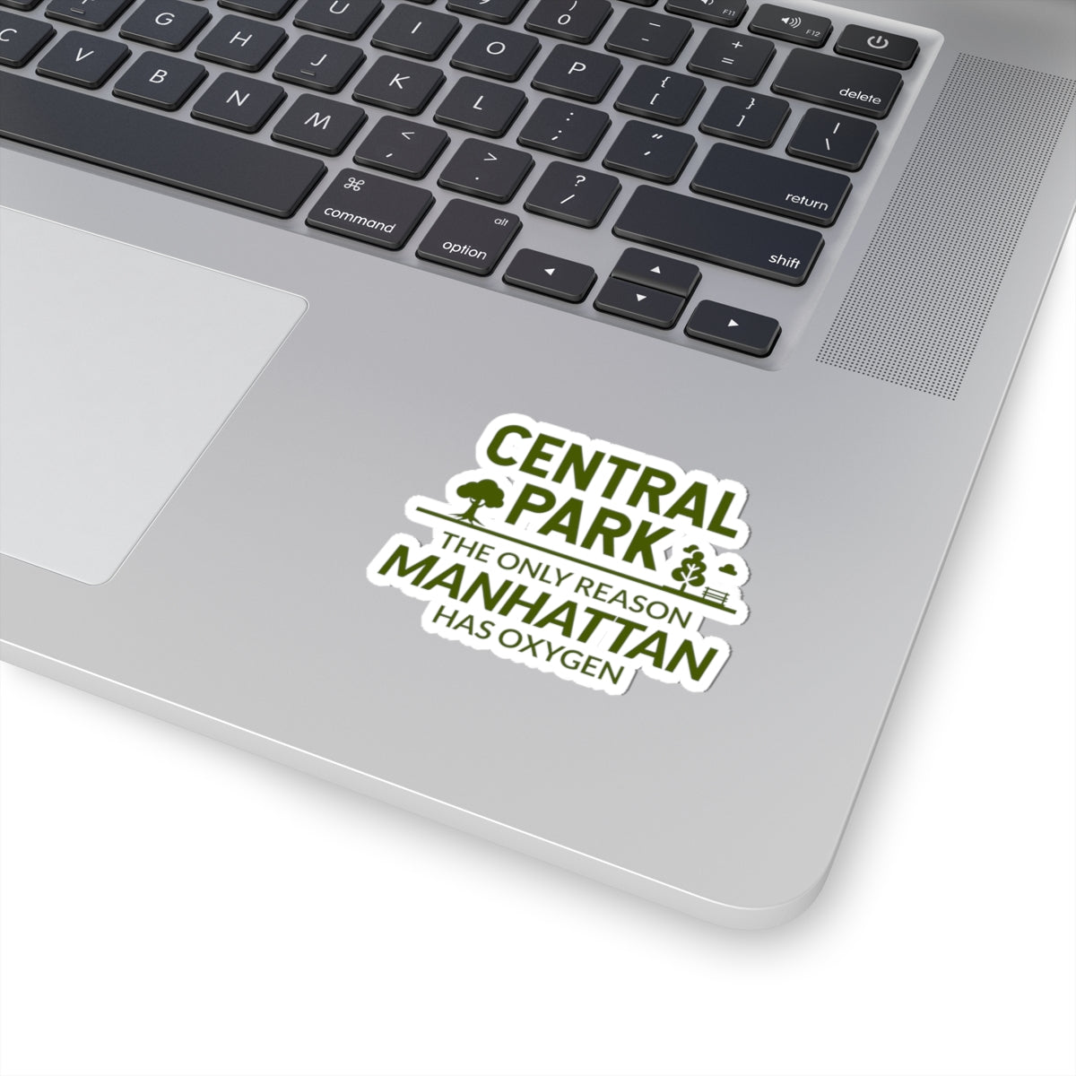 Central Park New York Sticker - Manhattan NYC Landmark Vinyl Decal for Nature Lovers and City Dwellers