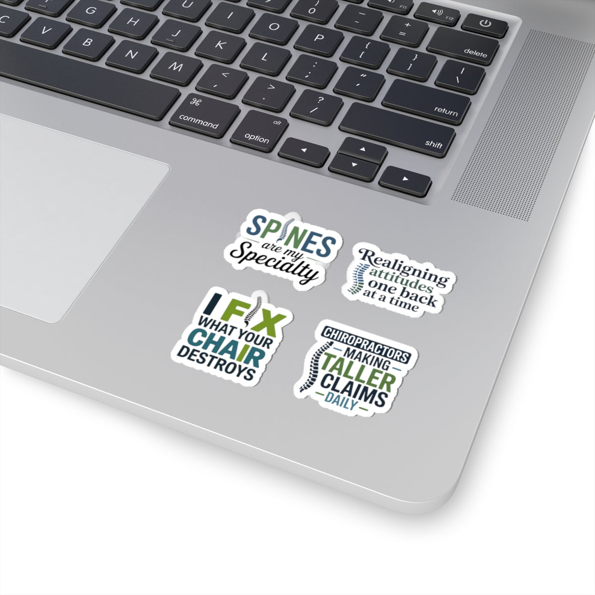 Chiropractor Sticker Pack – 4 PCS Funny Spine Specialty Decals for Chiropractic Doctors Back Care Pros