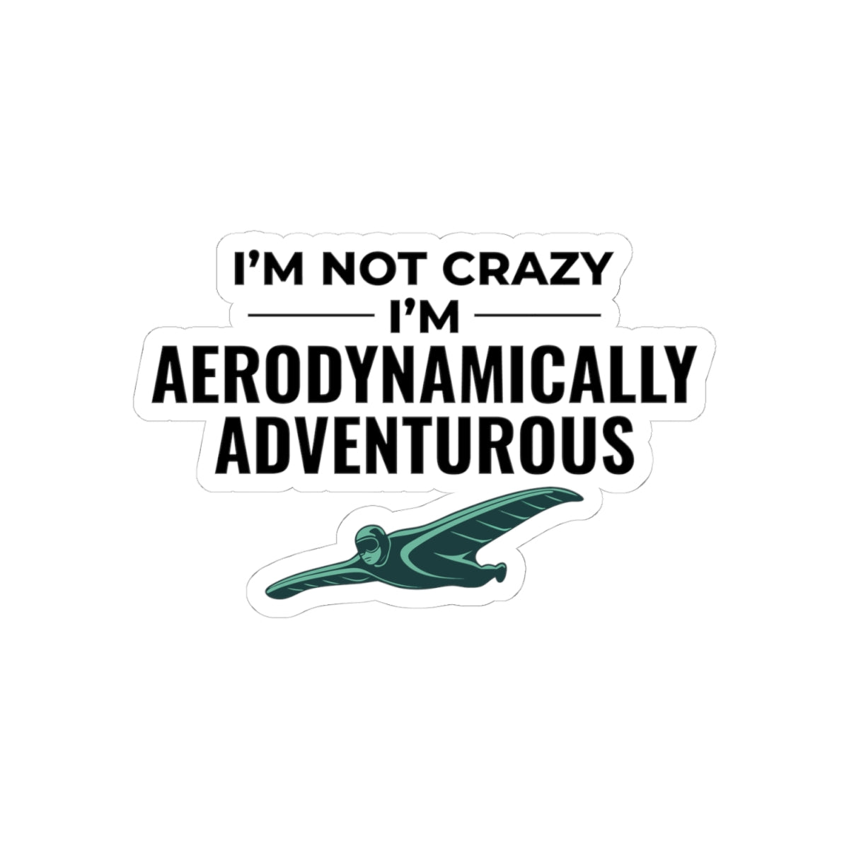 Wingsuit Flying Sticker – Funny Aerodynamic Humor Quote Decal for Extreme Sports Fans Adrenaline Junkies