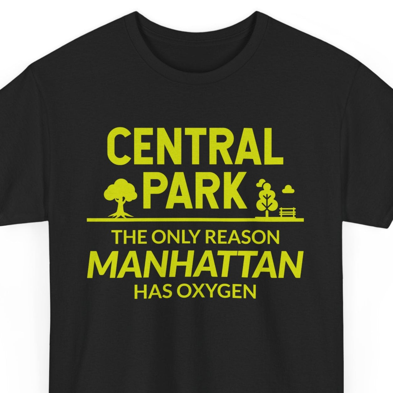 Central Park New York T-Shirt - NYC Manhattan Graphic Tee for Urban Fashion Lovers City Pride Apparel