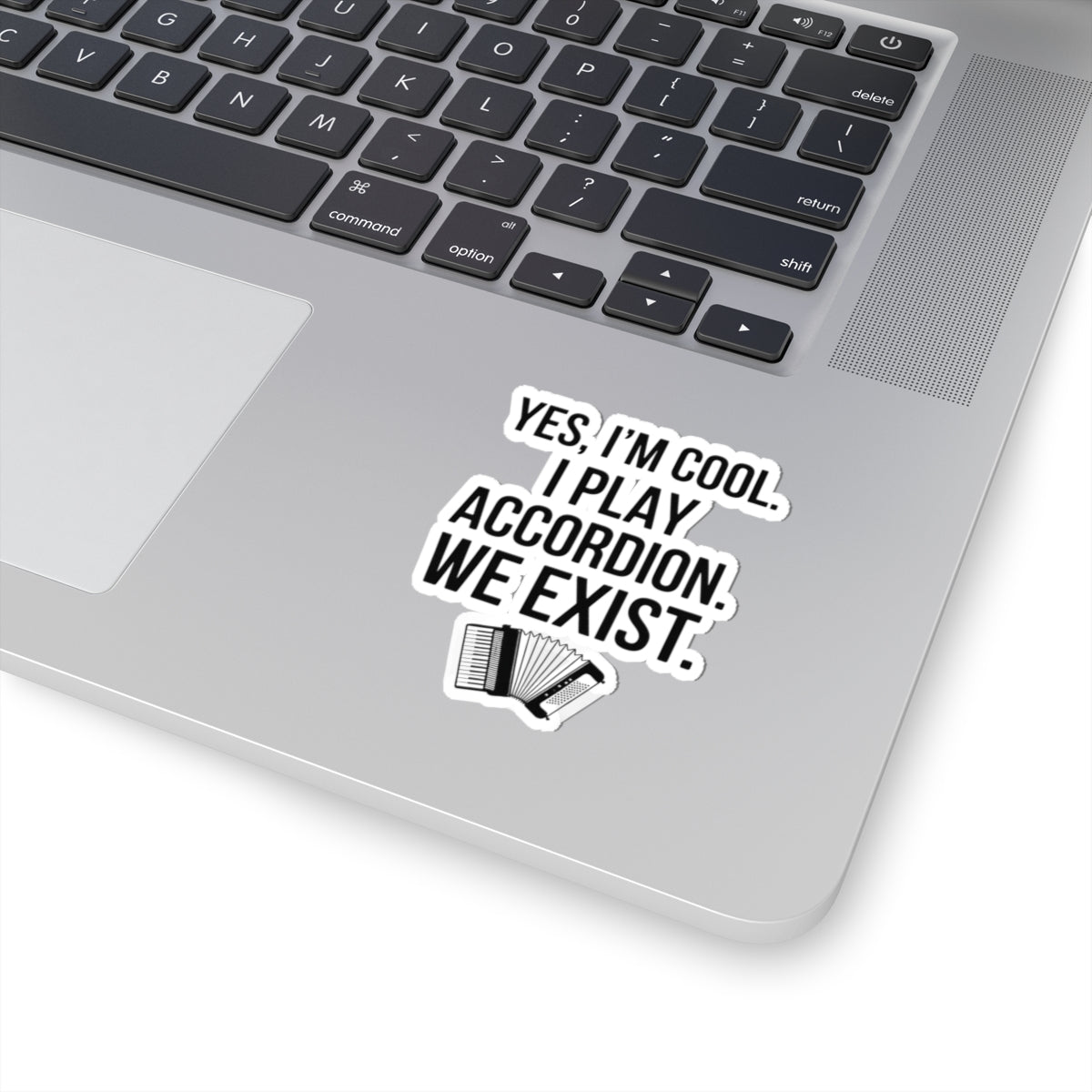 Accordion Player Sticker - Minimalist Deadpan Humor Quote Decal for Musicians, Polka Band Members, Folk Artists