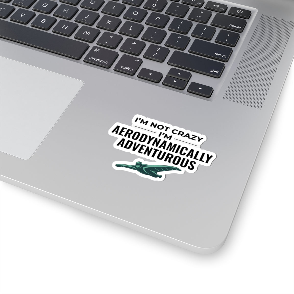 Wingsuit Flying Sticker – Funny Aerodynamic Humor Quote Decal for Extreme Sports Fans Adrenaline Junkies