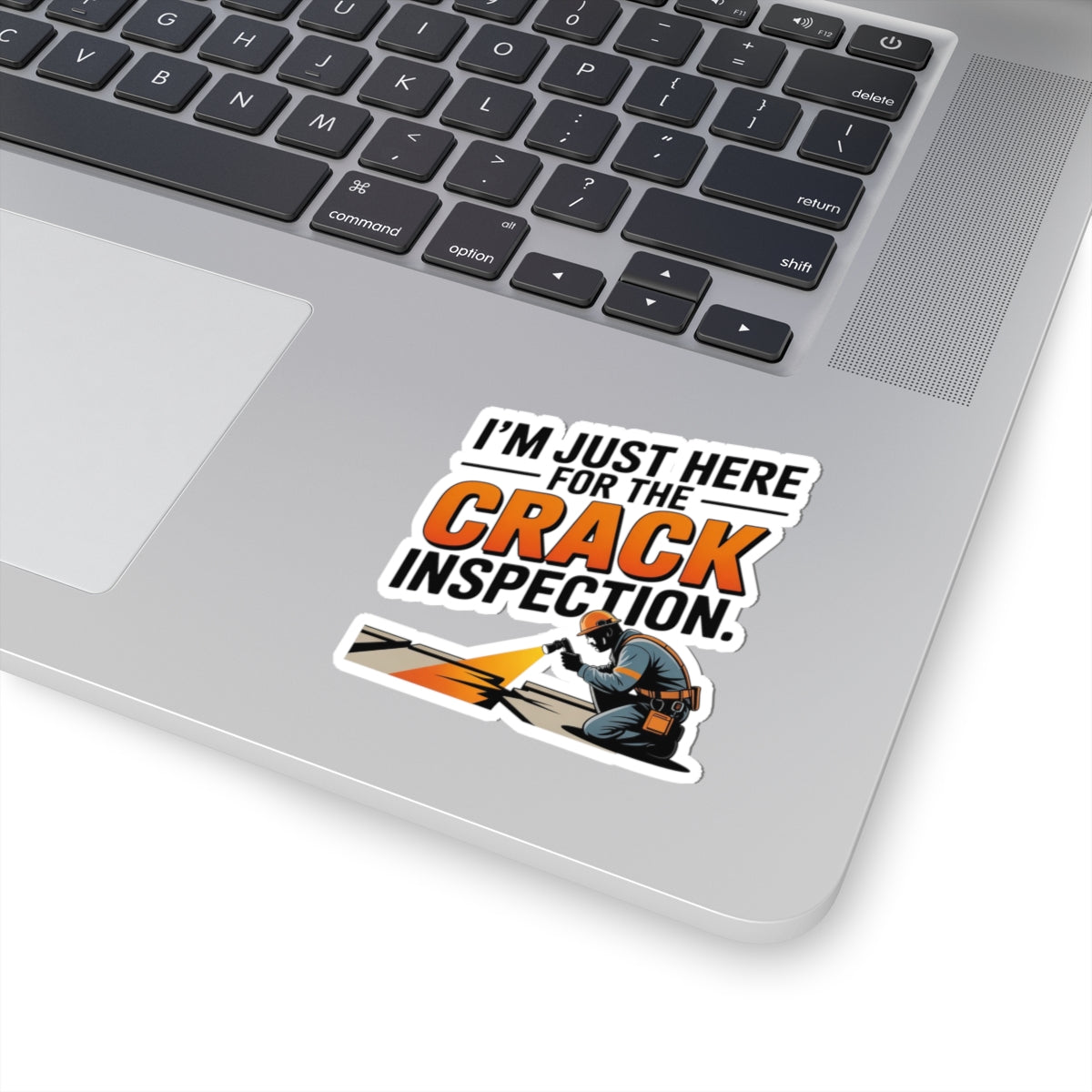 Bridge Inspector Humor Sticker - Crack Inspection Vinyl Decal for Engineers & Crew