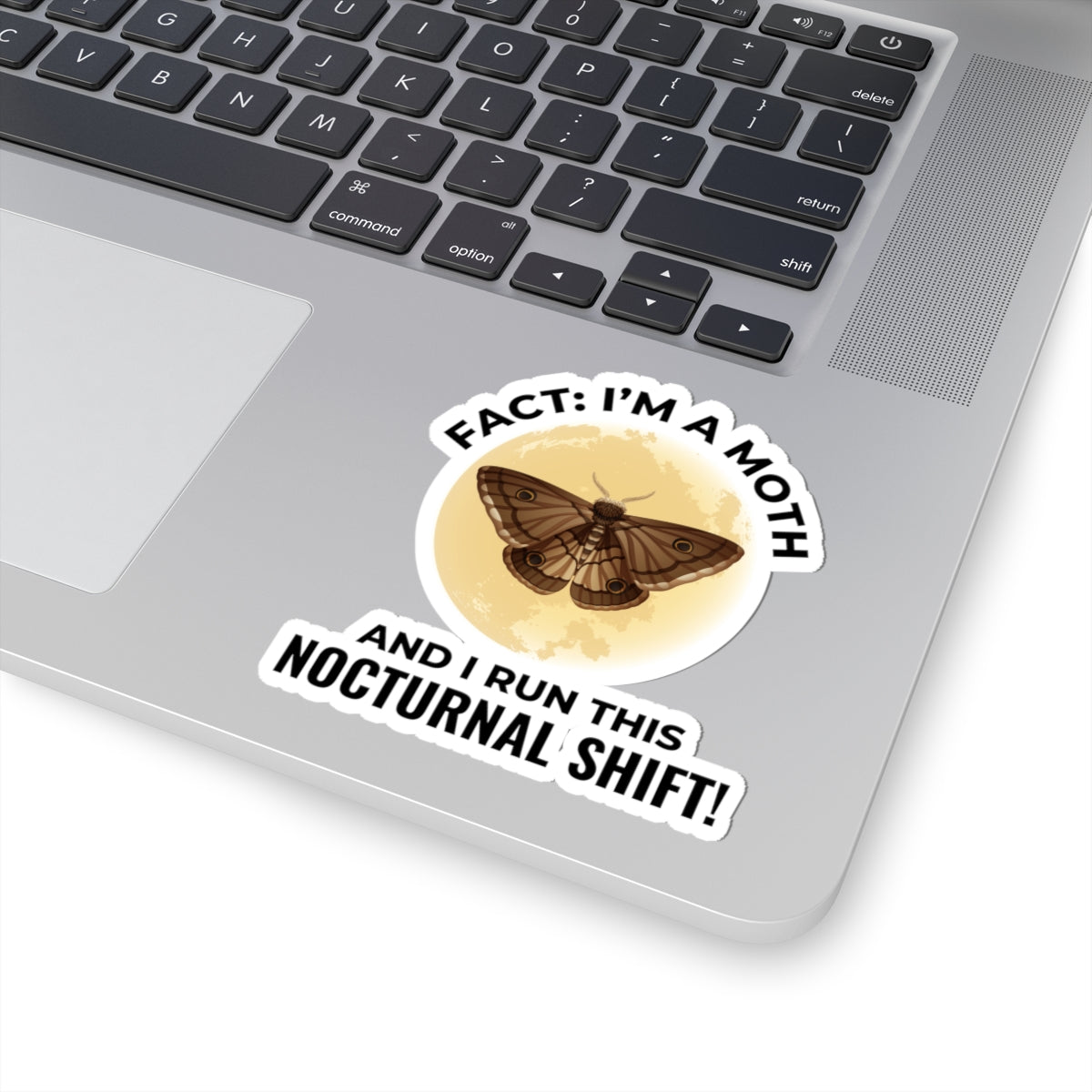 Nocturnal Moth Sticker - Insect Humor Vinyl Decal for Entomology Fans & Night Nature Lovers