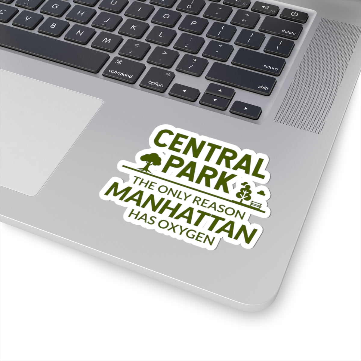 Central Park New York Sticker - Manhattan NYC Landmark Vinyl Decal for Nature Lovers and City Dwellers