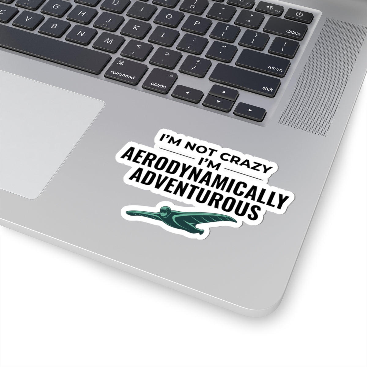 Wingsuit Flying Sticker – Funny Aerodynamic Humor Quote Decal for Extreme Sports Fans Adrenaline Junkies