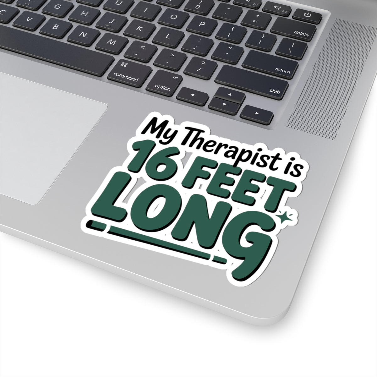 Pole Vault Sticker – Witty Humor Therapy Quote Decal for Track and Field Athletes, Vaulters & Sport Enthusiasts