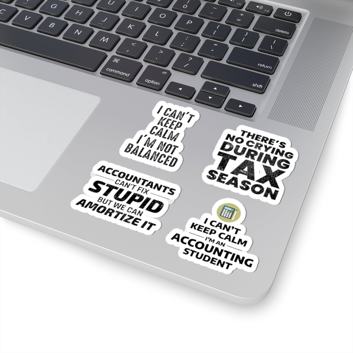 Accountant Sticker Pack – 4 PCS Funny Amortize Tax Season Decal Set for Accountants and Finance Students
