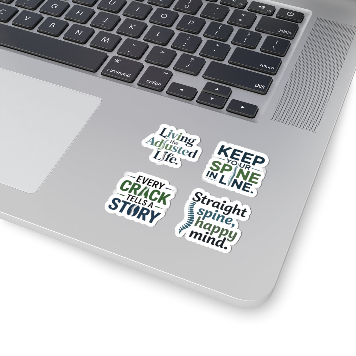 Chiropractor Sticker Pack – 4 PCS Inspirational Spine Health Decals for Chiropractic Doctors Clinic Staff