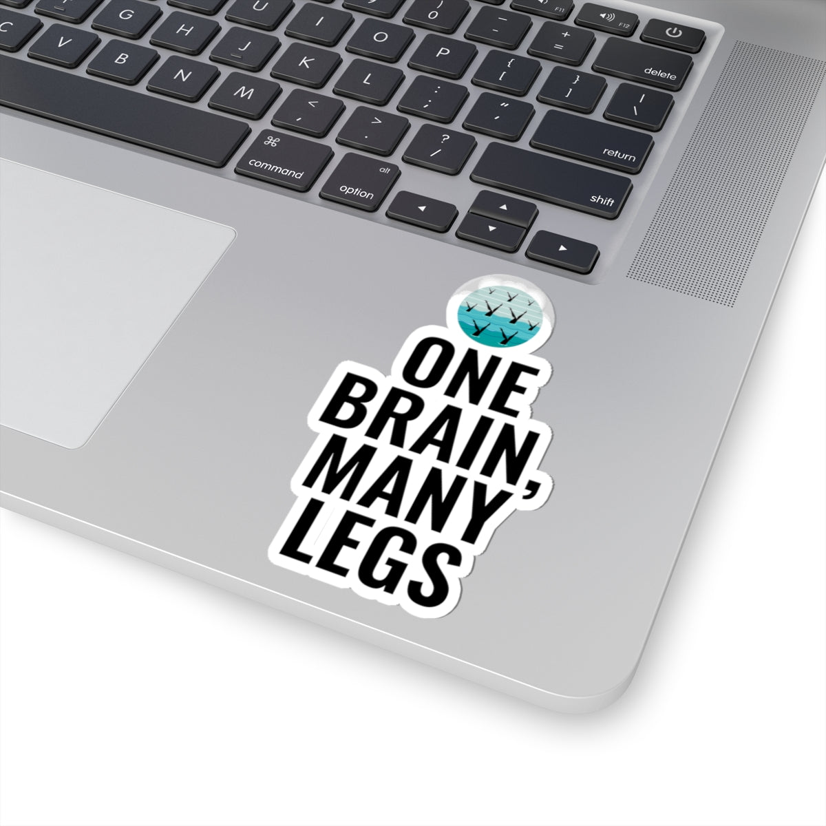 Humorous Synchronized Swimming Sticker - 'One Brain, Many Legs' Teamwork Vinyl Decal