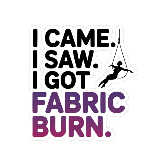 Aerial Silk Sticker – Funny Fabric Burn Quote Decal for Aerialists Lyra Performers and Circus Arts Athletes