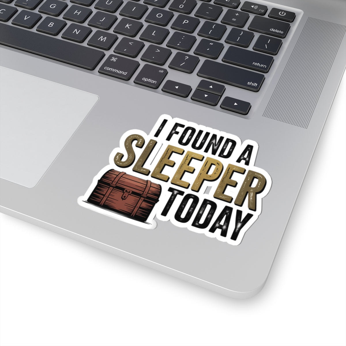 Antique Collector Sticker – I Found A Sleeper Today Decal for Thrifters, Vintage Pickers