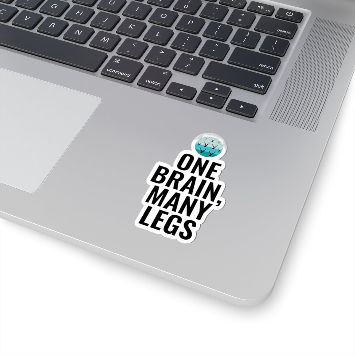 Humorous Synchronized Swimming Sticker - 'One Brain, Many Legs' Teamwork Vinyl Decal