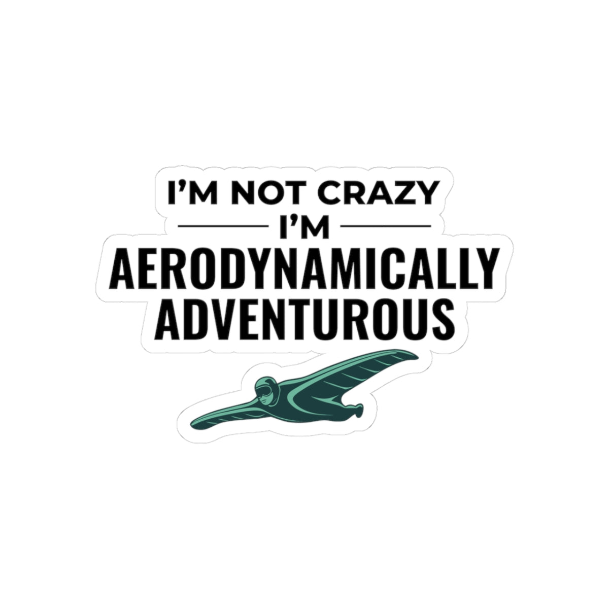 Wingsuit Flying Sticker – Funny Aerodynamic Humor Quote Decal for Extreme Sports Fans Adrenaline Junkies