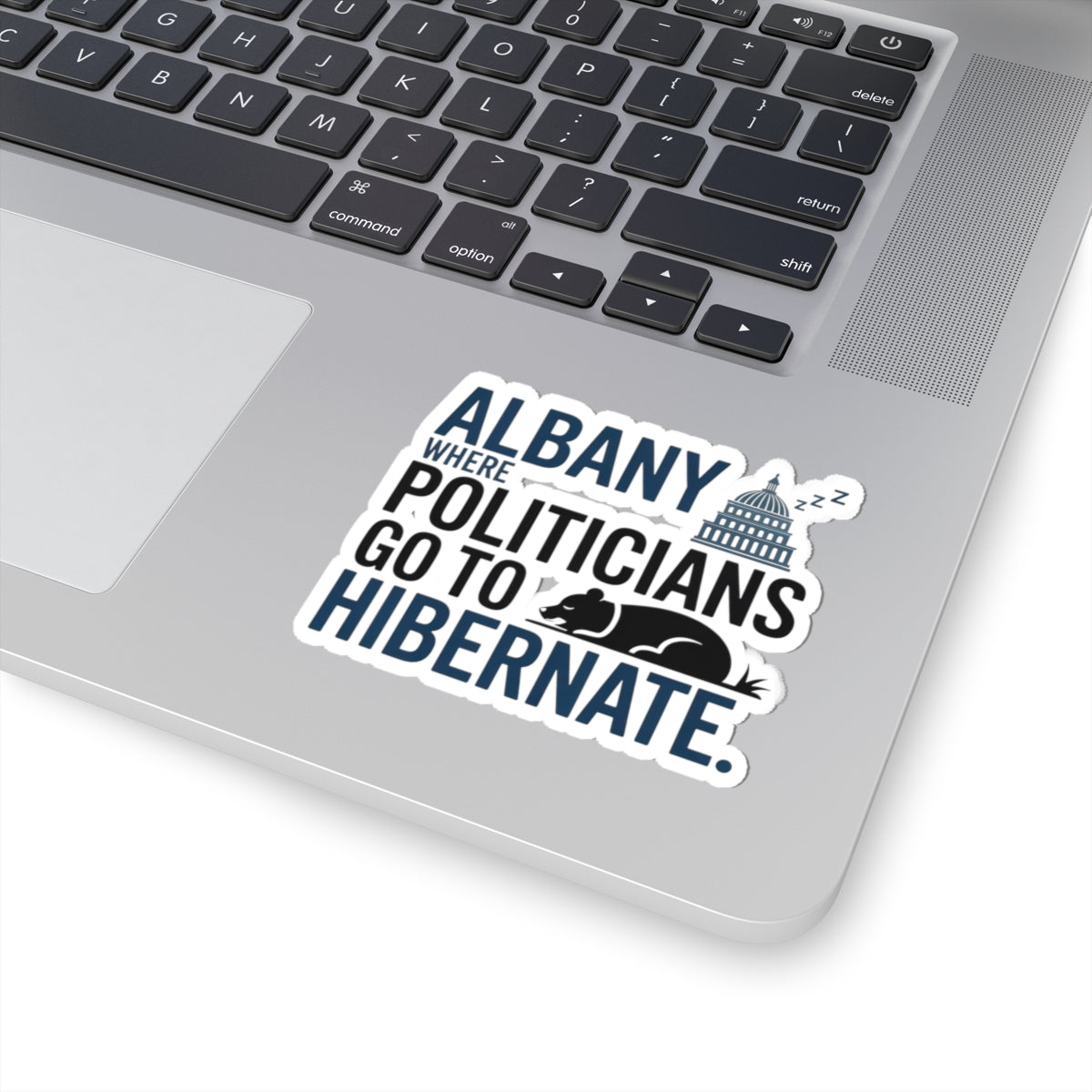 Albany Politics Sticker - Hibernating Politicians Vinyl Decal for NY State Satire