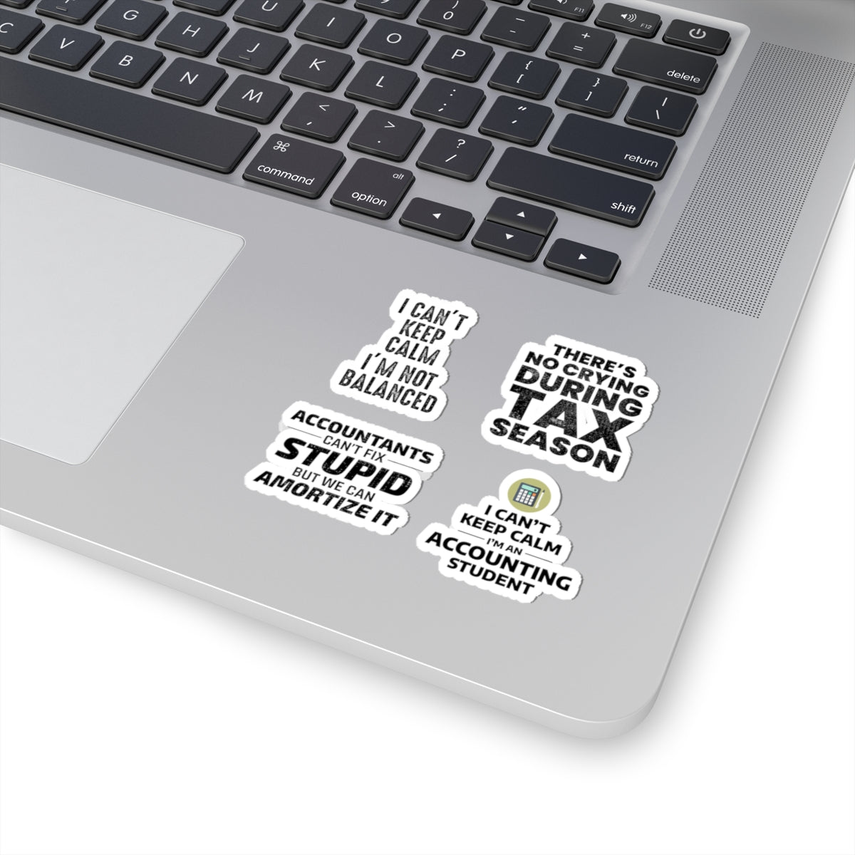 Accountant Sticker Pack – 4 PCS Funny Amortize Tax Season Decal Set for Accountants and Finance Students