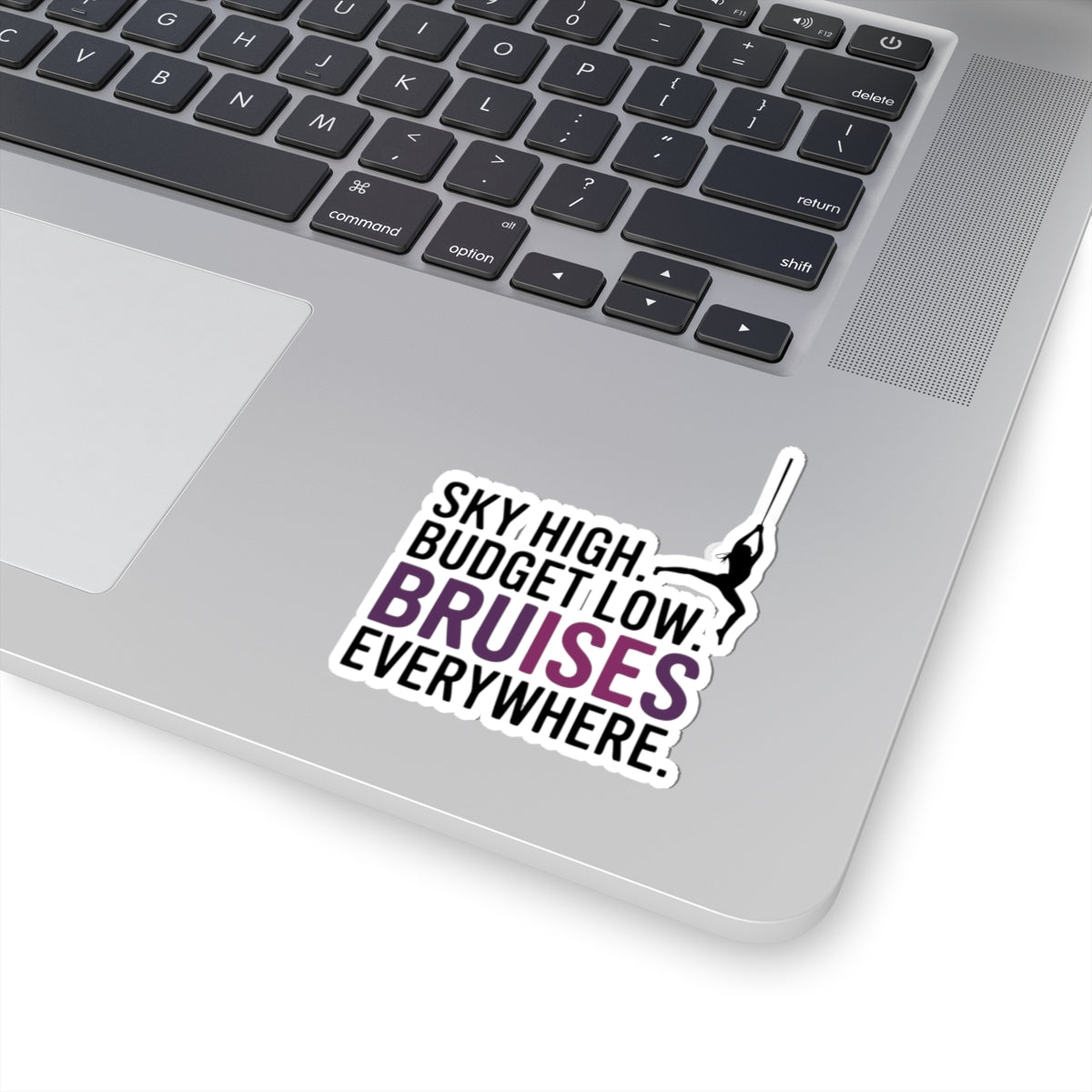 Aerial Silk Sticker – Funny Three-Line Bruises Quote Decal for Aerialists Circus Arts Performers and Silk Athletes