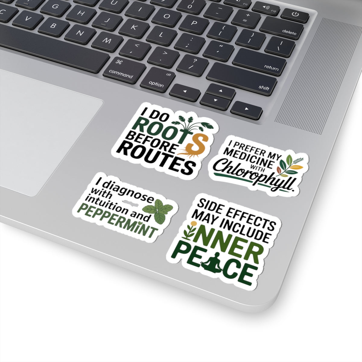 Naturopath Sticker Pack – 4 PCS Funny Chlorophyll Inner Peace Decals for Naturopaths Holistic Health Fans